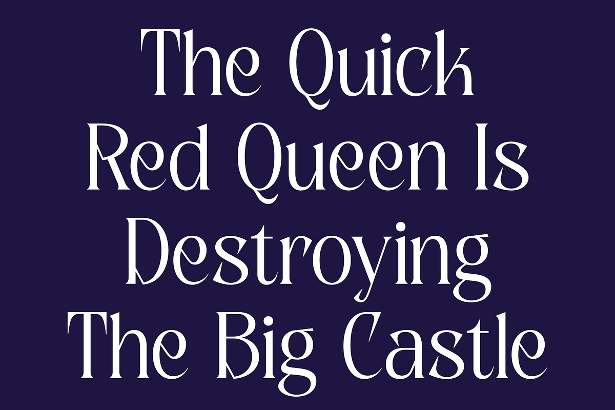 CS Daphne – Contemporary Font, a Serif Font by Craft Supply Co. (Photo 5 of 8)