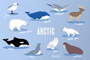 Minimal Animals Set, an Animal Illustration by kilaniants (Thumbnail 2 of 11)