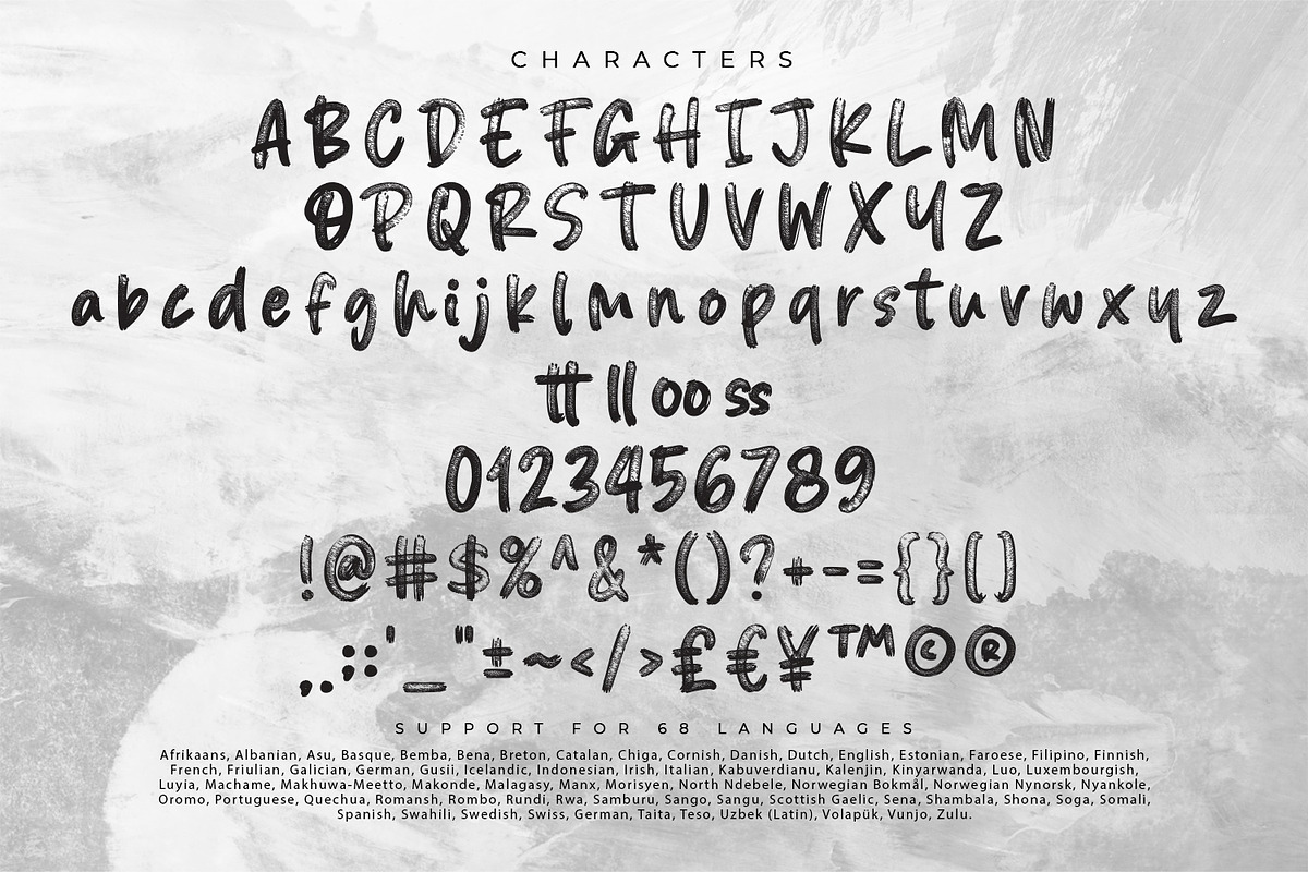 Blured Brush, a Script Font by Ditatype (Photo 9 of 10)