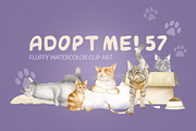 Cats Funny Toys Watercolor Clip art, an Animal Illustration by Elena Malgina Clipart (Thumbnail 1 of 19)