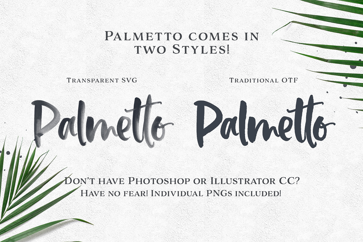 Palmetto SVG Font, a Handwritten Font by Callie Rian & Co. (Photo 11 of 12)