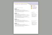 Modern Resume Template MS Word, a Resume Template by Scribbled Napkin Design (Thumbnail 3 of 5)