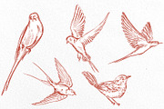 Graphic TERRACOTA Wedding Collection, an Object Graphic by Knopazyzy (Thumbnail 14 of 14)