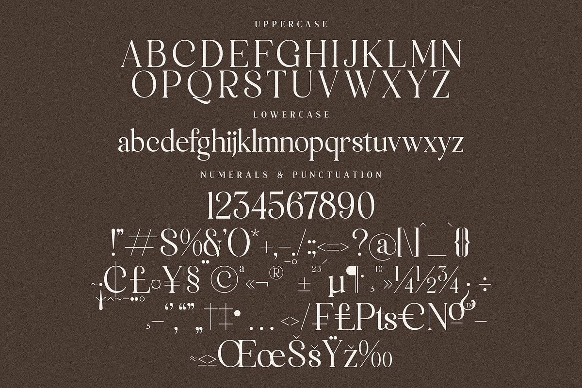 Macterla Stylishh Modern Serif Font, a Serif Font by Storytype Studio (Photo 13 of 14)