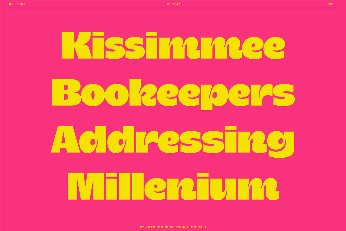 BN Blink, a Sans Serif Font by Bnick (Photo 6 of 16)