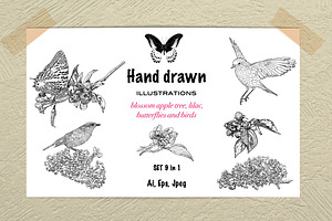 Hand Drawn Illustration. Spring Set.