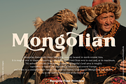 Bongola | Serif Display Font, a Serif Font by RT Studio (Thumbnail 2 of 11)