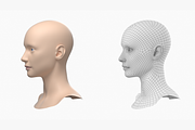 Natural Female Head 01 Generic Mesh, a Characters & Person 3D Model by VK Studio (Thumbnail 9 of 19)