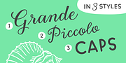 Gretel Script, a Script Font by Typejockeys (Thumbnail 3 of 6)
