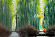 50 Kyoto Lightroom Presets and LUTs, a Preset Add-On by SparkleStock (Thumbnail 2 of 10)