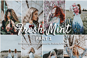 20 Lightroom Presets Fresh Mint p1, a Preset Add-On by PerfectStudioPresets (Thumbnail 1 of 10)