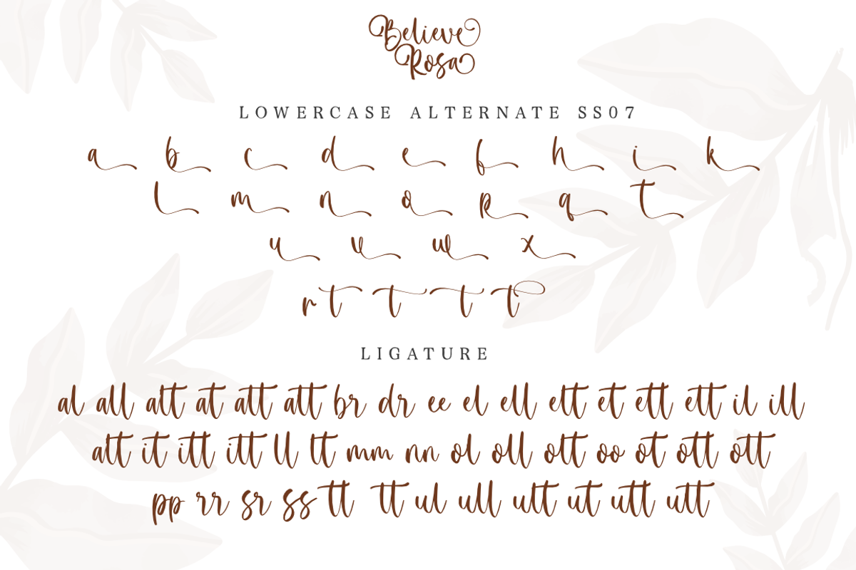 Believe Rosa - Font Duo, a Script Font by Silverdav (Photo 10 of 11)