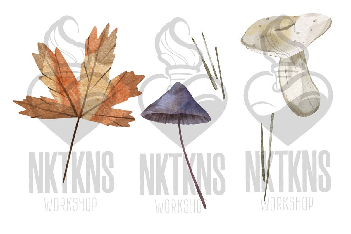 Watercolor Mushrooms Clipart, a Decorative Illustration by NKTKNS (Photo 4 of 6)