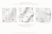Pressed Flowers & Brush Strokes Png, an Object Graphic by by creative paper (Thumbnail 15 of 17)