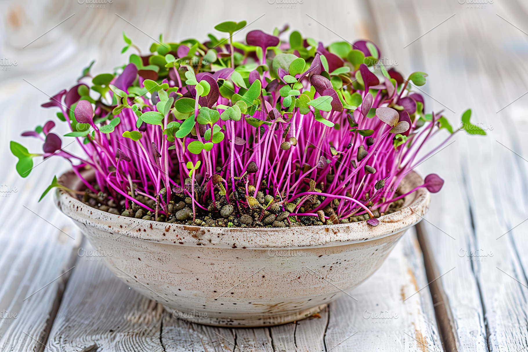 Fresh purple radish microgreen in bowl on wooden table, a Food & Drink Photo by AlyaAnd
