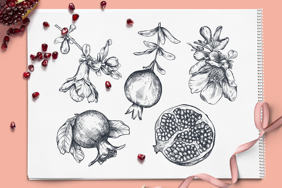 Pomegranate Fruit Vector Set, a Food Illustration by Molly art (Photo 2 of 8)