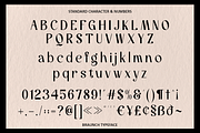 Braunch - Brand Sans Font, a Sans Serif Font by Say Studio (Thumbnail 13 of 14)