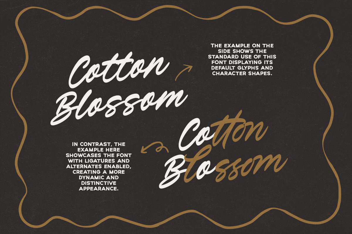 Verdons Wild - Vintage Brush Script, a Script Font by Bale Type (Photo 9 of 10)