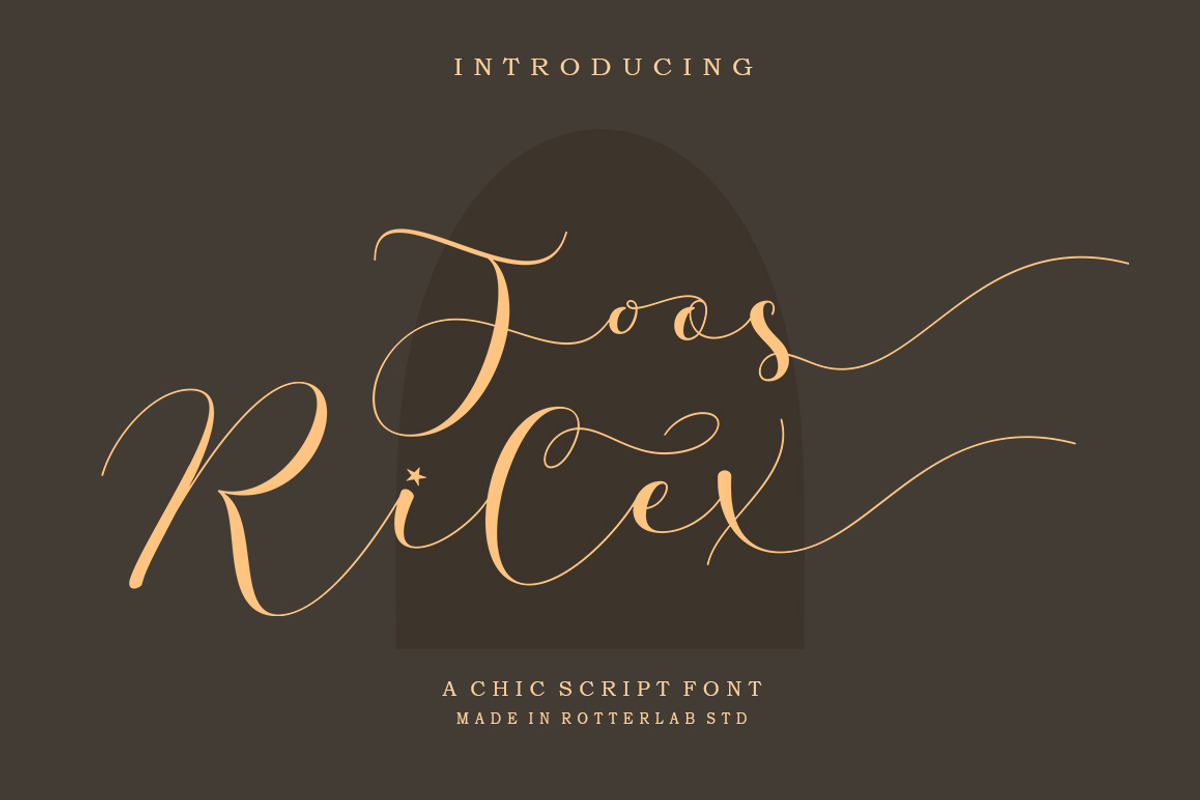 Joos Rilex, a Script Font by Rotterlab Studio (Photo 1 of 7)