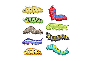 Colorful cartoon caterpillars, an Animal Illustration by pikepicture
