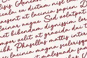 Bellama Signature Font, a Script Font by Basnistudio (Thumbnail 2 of 10)