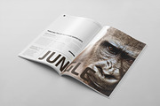 Magazine Template 64, a Magazine Template by pmvch (Thumbnail 5 of 11)
