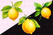 Lemons Watercolor Clipart, a Food Illustration by LekoArt (Thumbnail 2 of 10)