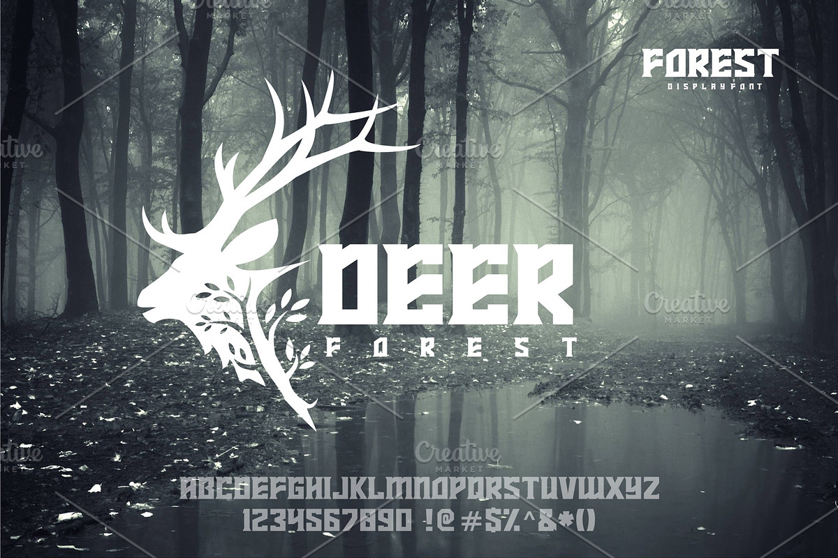 FOREST preview 4