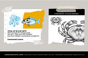 Mediterranean Sea Vector Clipart Set, an Animal Illustration by Pingebat (Thumbnail 2 of 15)