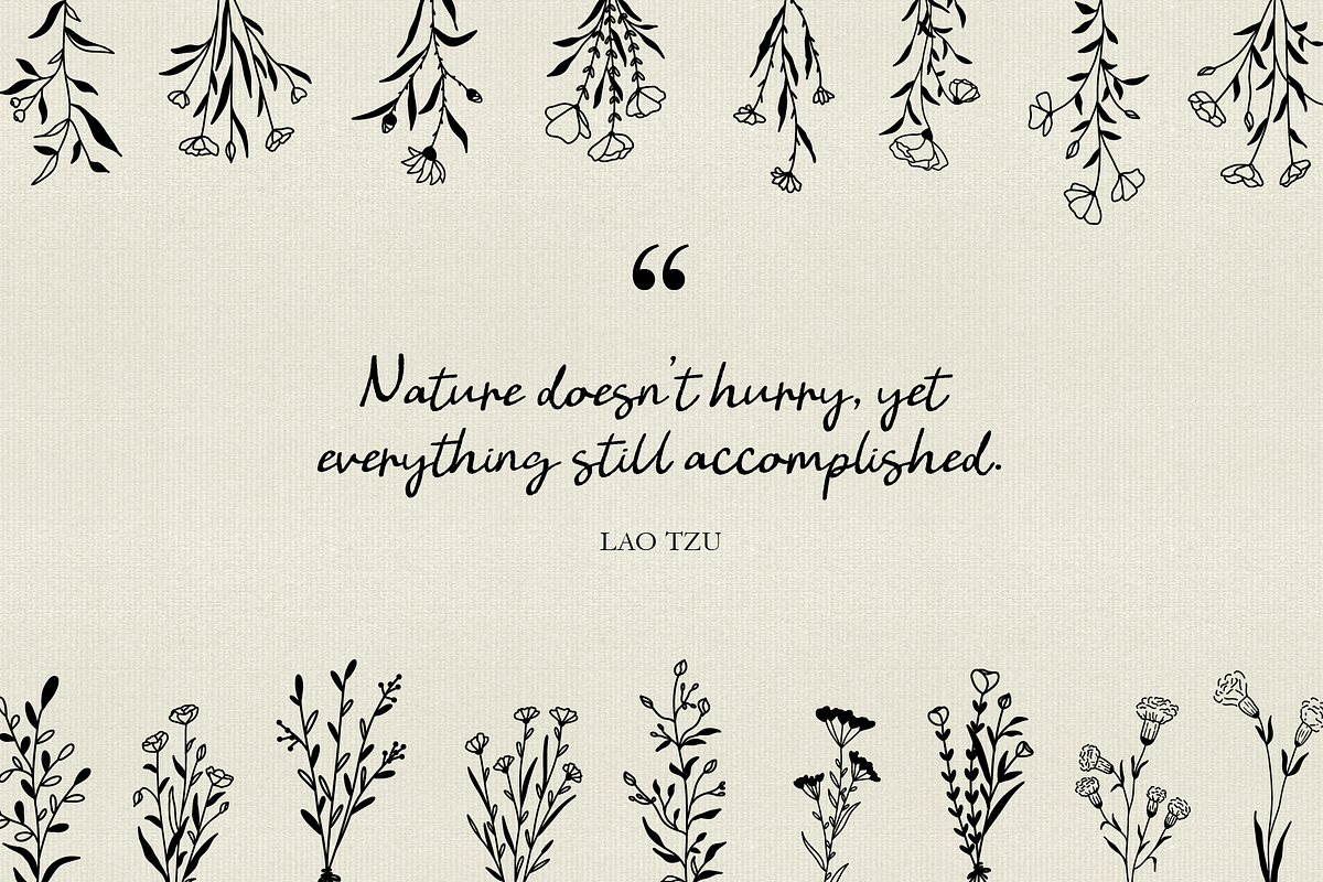 Wildflowers Line Art No:7, a Texture Illustration by Kaya Fonts (Photo 16 of 17)