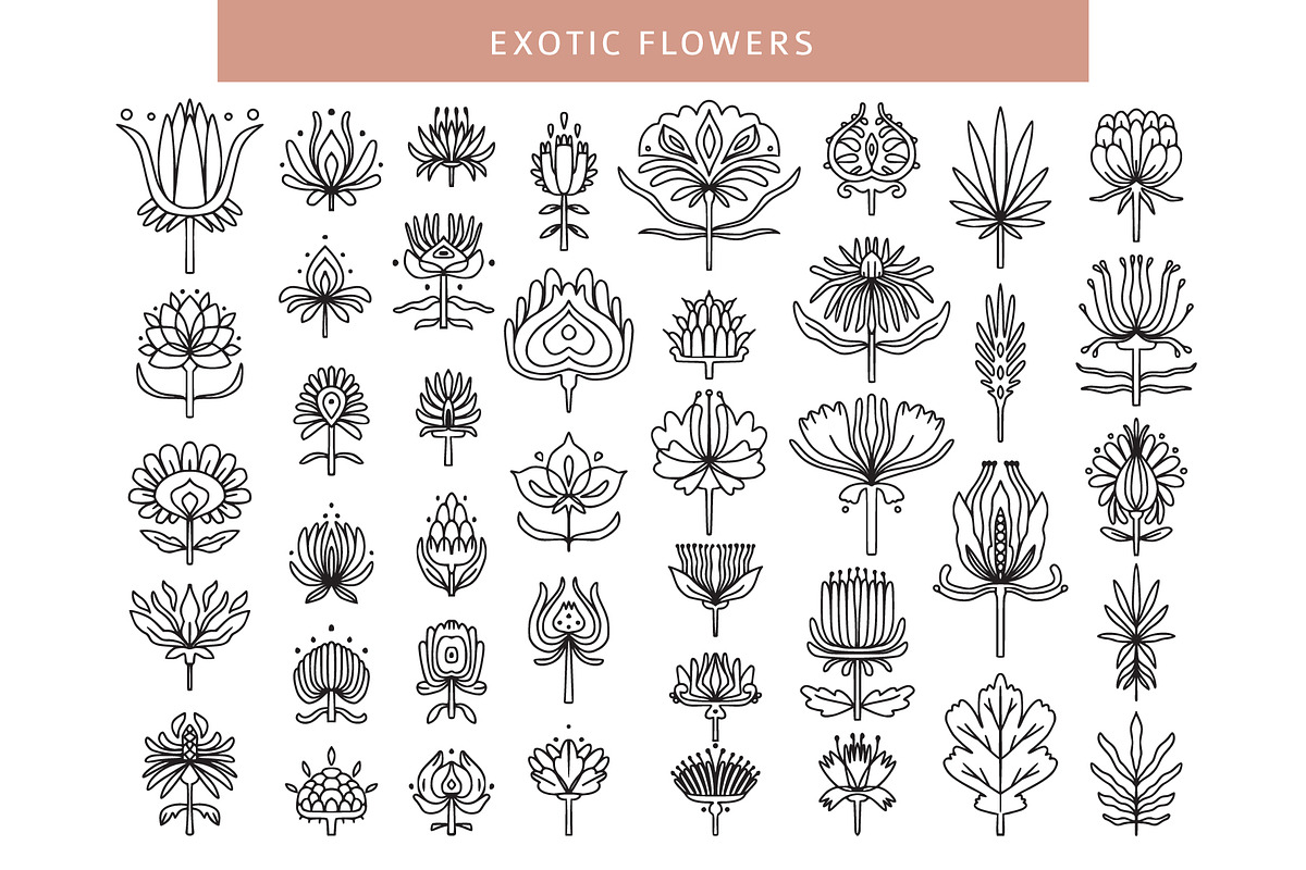 FOLK FLOWERS patterns, elements, an Outline Icon by Lena Nikolaeva (Photo 4 of 12)