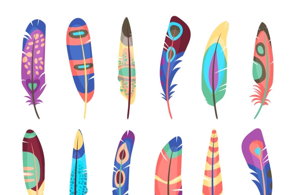 Vector Colored Feathers Set