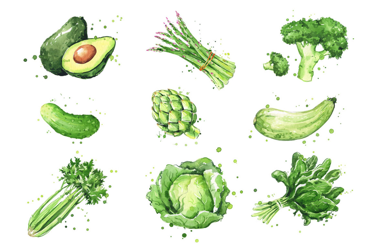 Selection of green foods, watercolor, a Food Illustration by Kamenuka (Photo 1 of 4)
