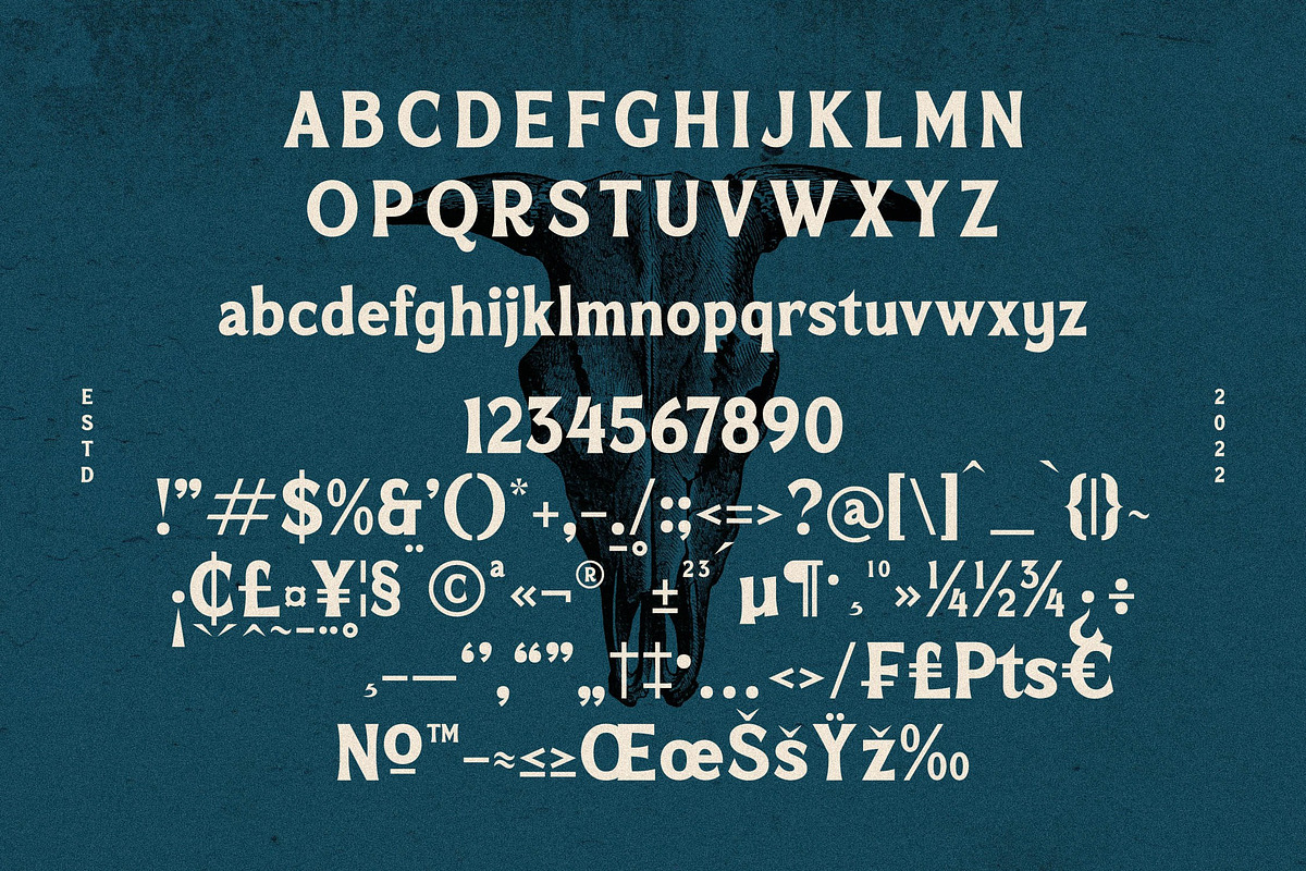 Mofeika Display Serif Typeface, a Sans Serif Font by Storytype Studio (Photo 12 of 15)