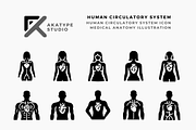 Human Circulatory System Icon, an Icon by Akatype Studio (Thumbnail 1 of 3)