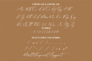 Andaeni, a Script Font by Integritype Studio (Thumbnail 8 of 11)