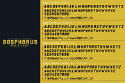 BOSPHORUS Serif font, a Serif Font by Artistic & Unique (Thumbnail 2 of 21)