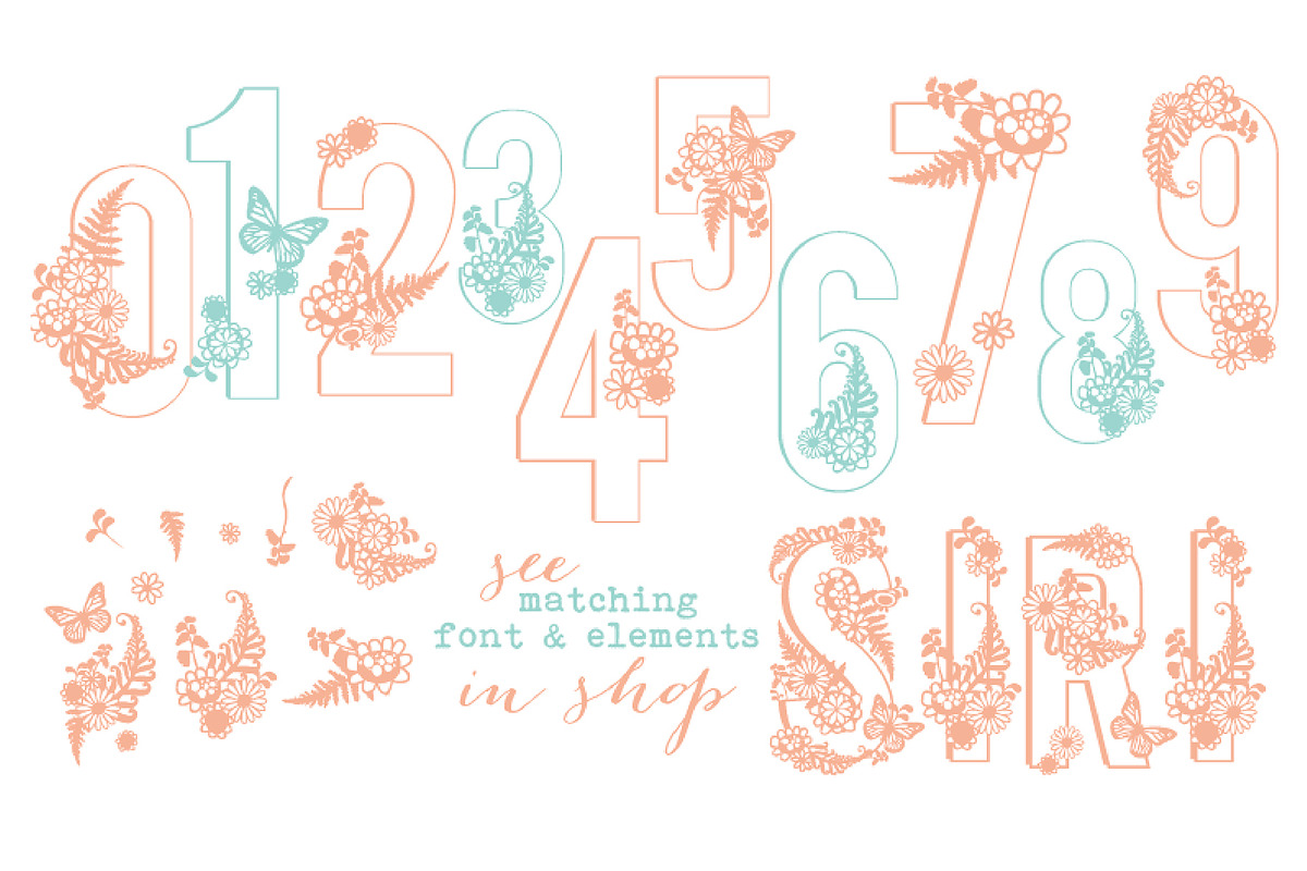 Siri Floral Numbers Font