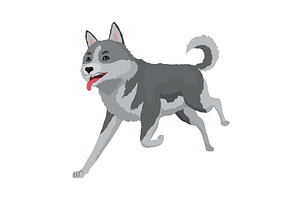 Cute gray wolf pose. Cartoon, an Animal Illustration by the8monkey