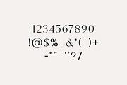 Gemindary Beautifully Display Serif, a Serif Font by UICreative (Thumbnail 3 of 13)