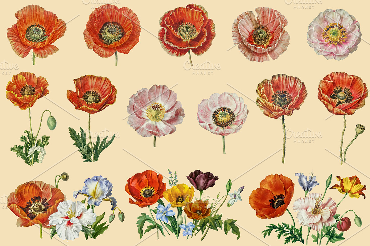 Vintage Flowers Digital Collage Pack, an Illustration by DigitalDesignAI (Photo 5 of 9)