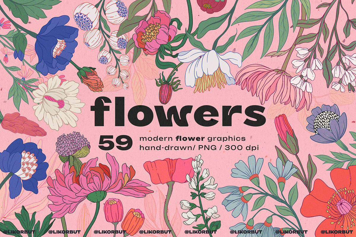 Modern Botanical Floral Illustration, a Decorative Illustration by likorbut (Photo 1 of 9)