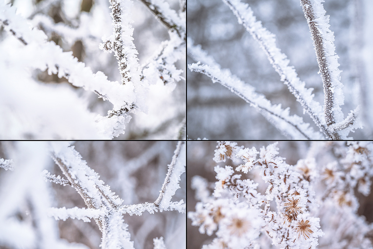 Frozen morning bundle /77pics, a Background Graphic by tydla (Photo 9 of 12)