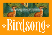 Bastfeng Skylight Modern Serif, a Serif Font by timelesstype.co (Thumbnail 15 of 20)