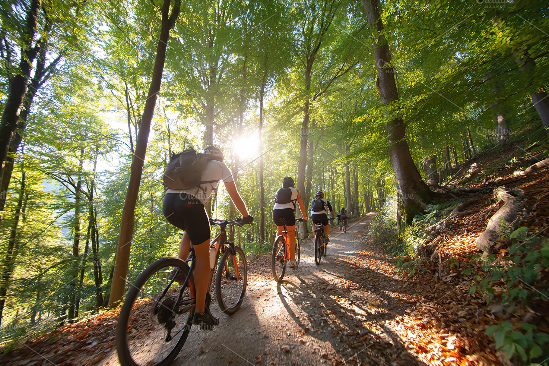 Cyclists exploring a lush forest trail during a bright sunny day, a Photo by AlyaAnd