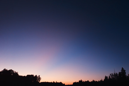 Sunset illumination covering forest landscape silhouette backdrop, a Nature Photo by RETROWAVE '88