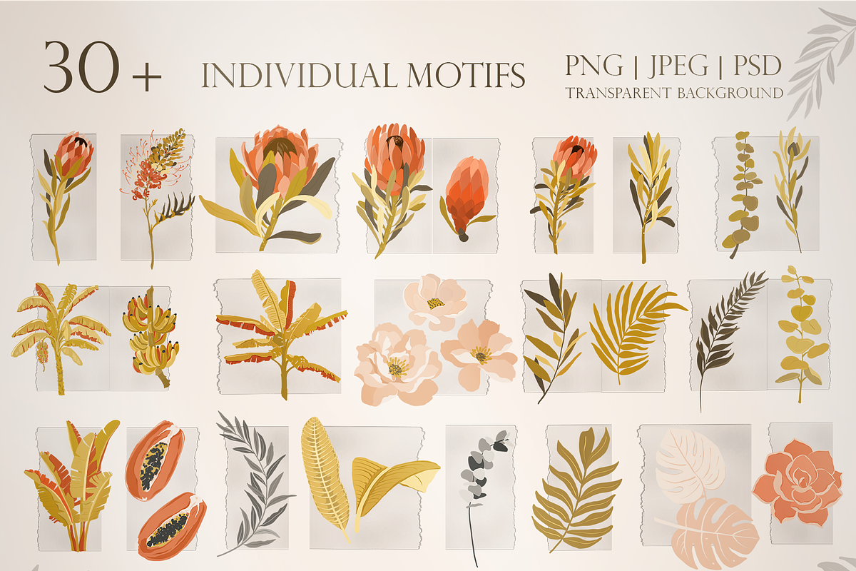 Tropical story. Patterns collection., a Pattern Graphic by Alena Zaytseva (Photo 4 of 11)