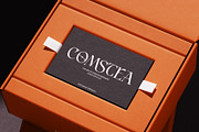 Atteliora Elegant Serif Font, a Serif Font by Heinzel Std (Thumbnail 5 of 13)