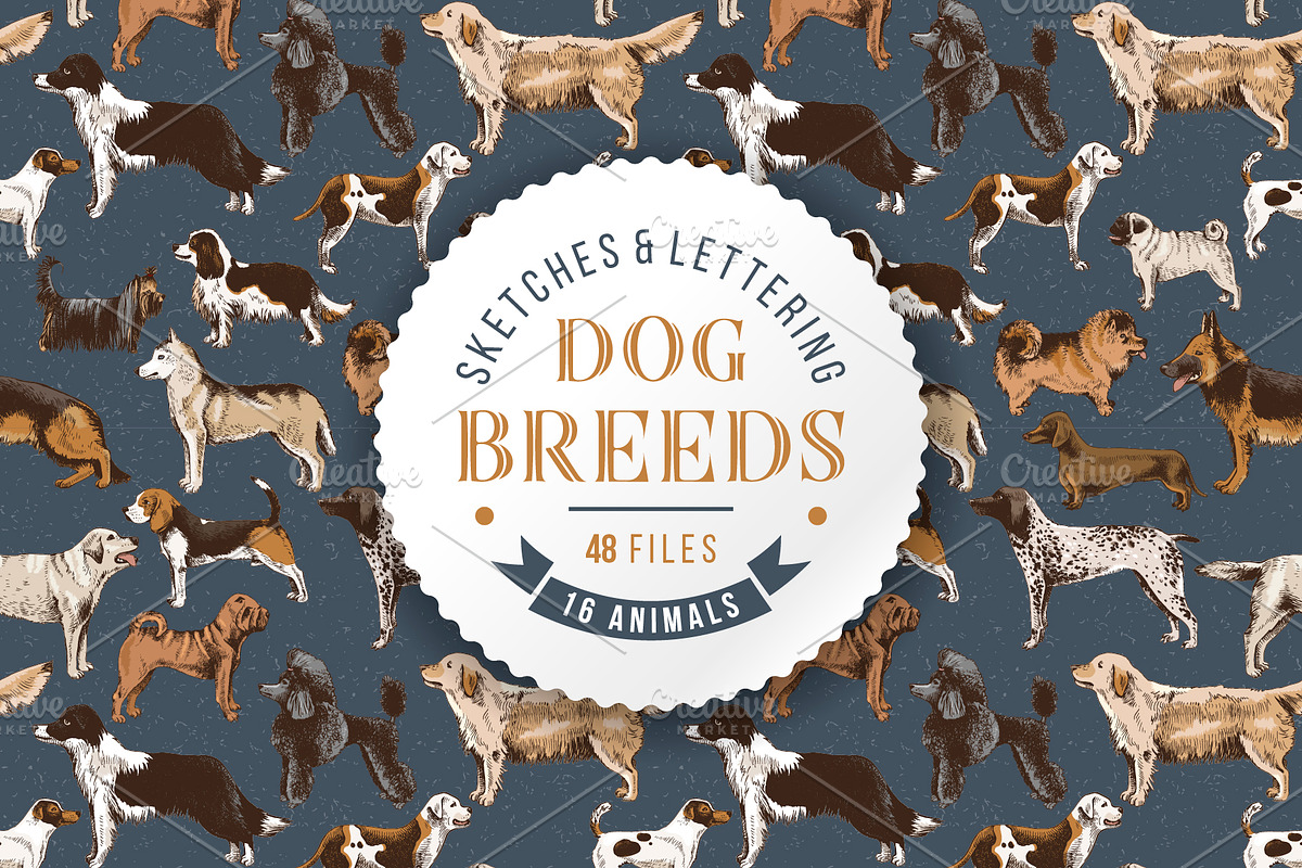Dog breeds - sketches & lettering, an Animal Illustration by handsketched (Photo 1 of 10)