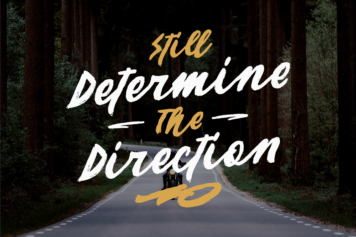 VENATOR Brush Font, a Script Font by Garisman Std (Photo 6 of 9)